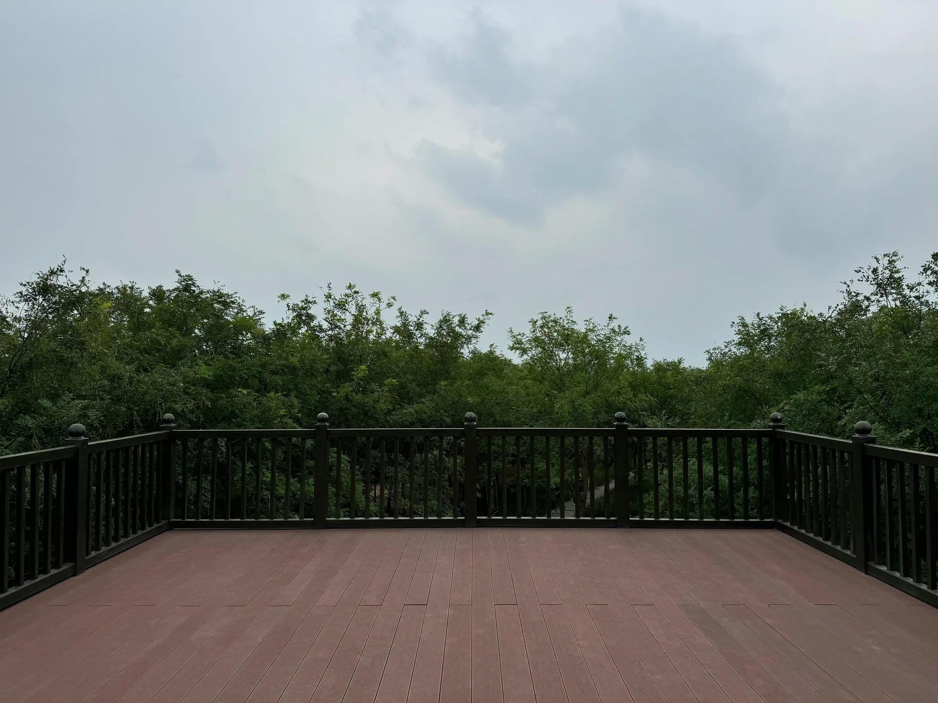 New backyard deck build
